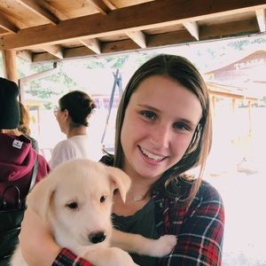 Meet your Posher, Alexa